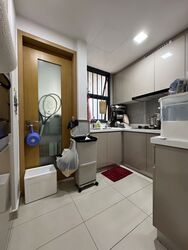 Blossom Residences (D23), Condominium #612600391
